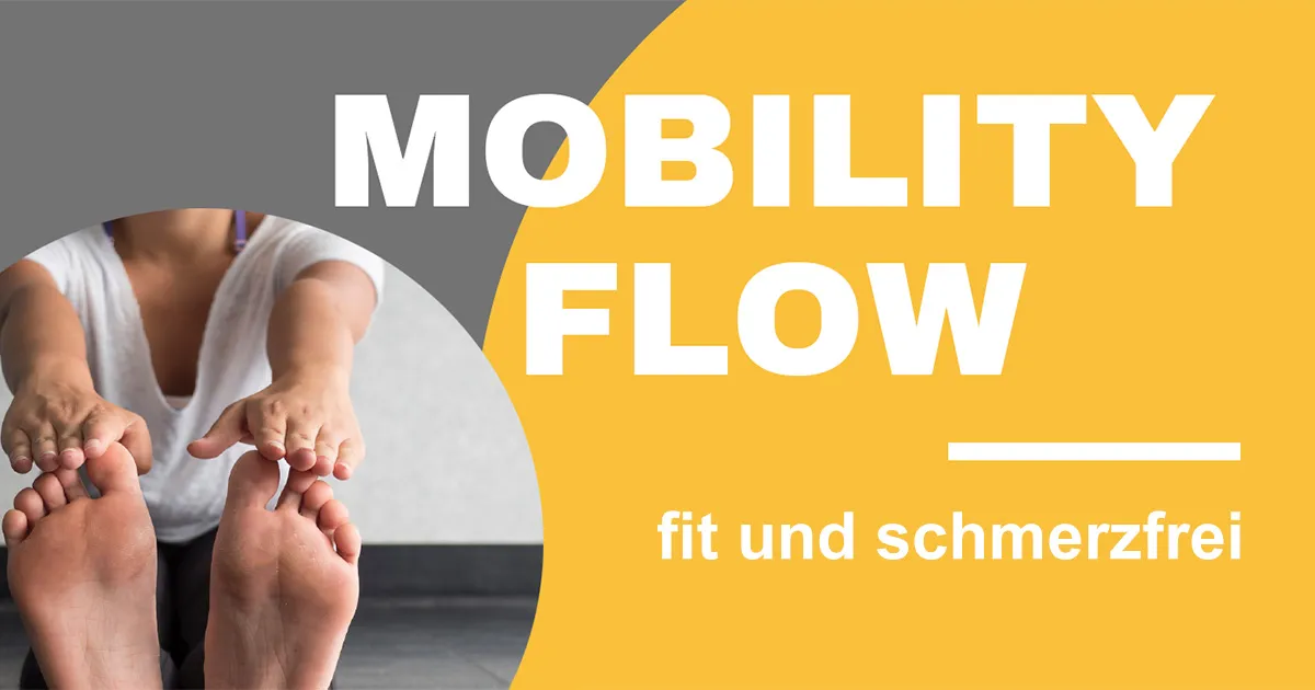 Mobility Flow